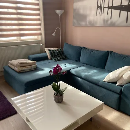 Apartment Dula Downtown *